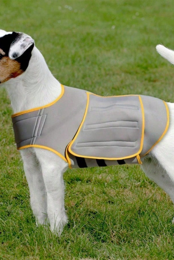 Dog Anxiety Vest - Calming Wrap Coat For Stress Relief - Thunder & - back view