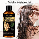 Ginger Hair Care Shampoo with Platycladus Orientalis & Polygonum Multiflorum, Natural Hair Growth Shampoo, Reduce Split Ends, Strengthen Hair, Gentle Cleansing Shampoo, 100ml/3.38fl.oz The Perfect Gift for Mom and Your Girlfriend — A Mother's Day Gift - view 1 of 6